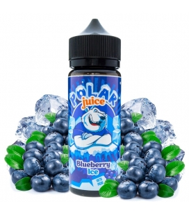 Blueberry Ice 100ml - Polar Juice